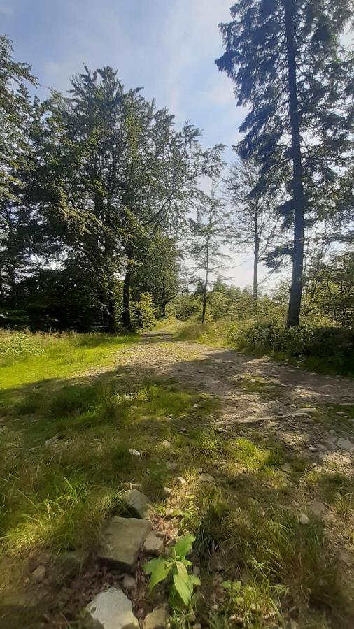 Apartamento Apartament Spacerowo-Rowerowy Kamieniolom Kozy 60M2 Kozy Wielkie Exterior foto